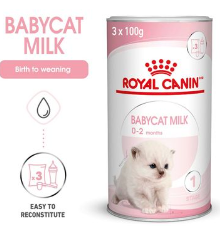 Royal Canin Babycat Milk  300g BB 28/12/2024